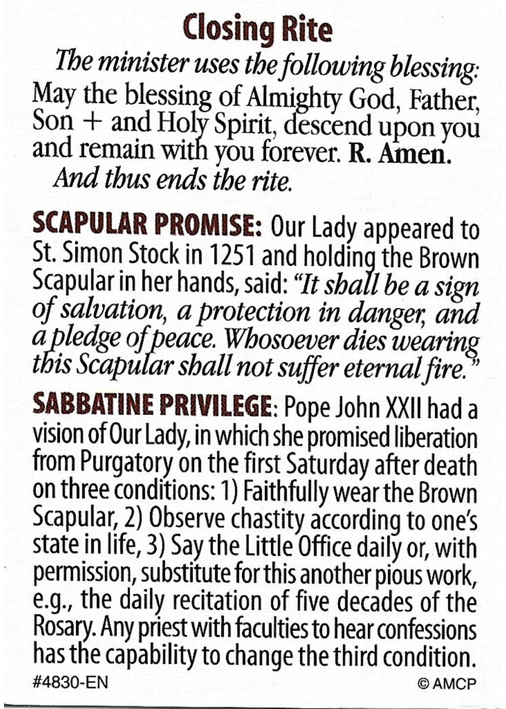 Brown Scapular Enrollment mini trifold