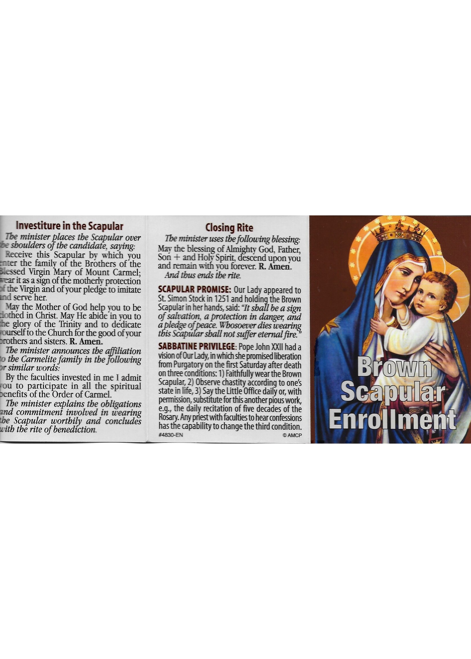 Brown Scapular Enrollment mini trifold