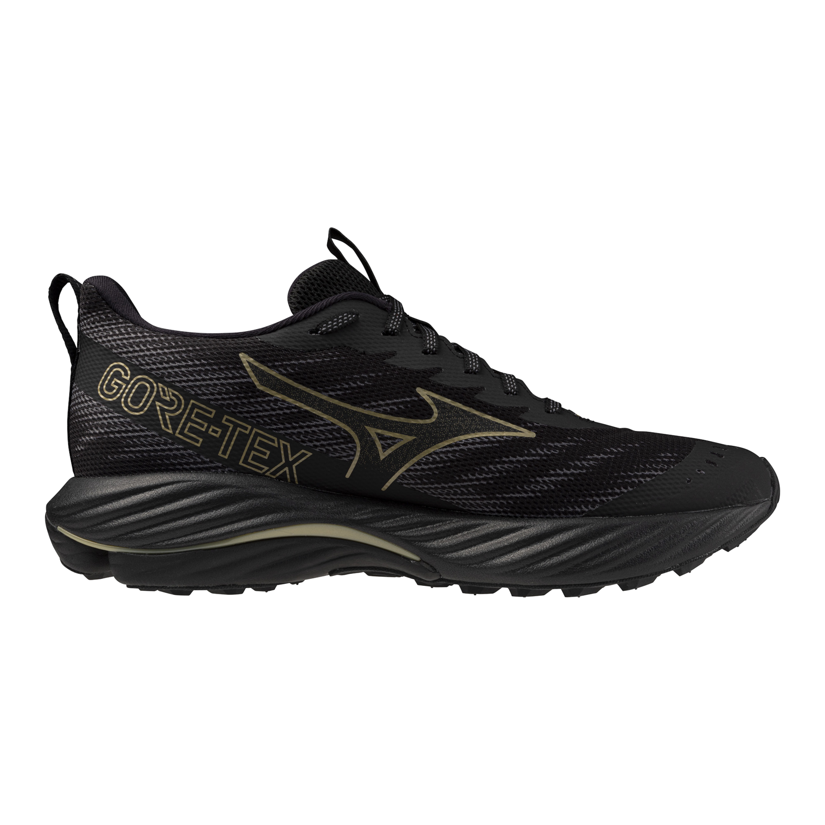 Mizuno Wave Rider GTX 2 Men's