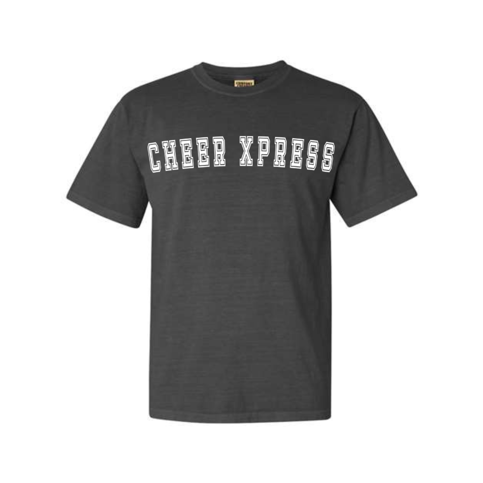 comfort colors CX Varsity Tee