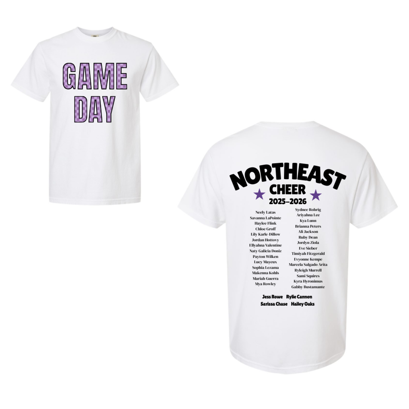 comfort colors Northeast Game Day Checkered Roster Tee