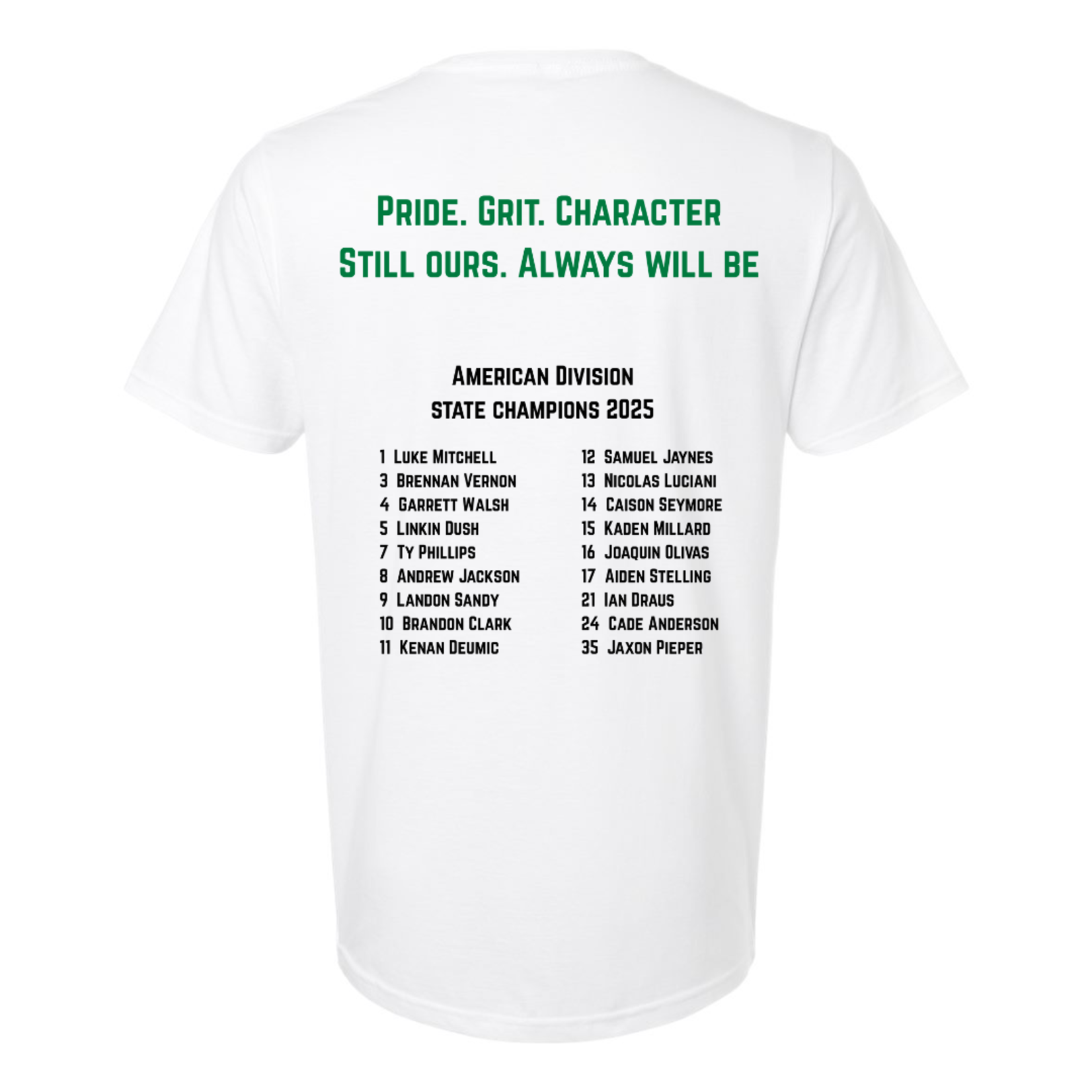 Gildan Softstyle Pinnacle Bank Baseball Rob It Tee