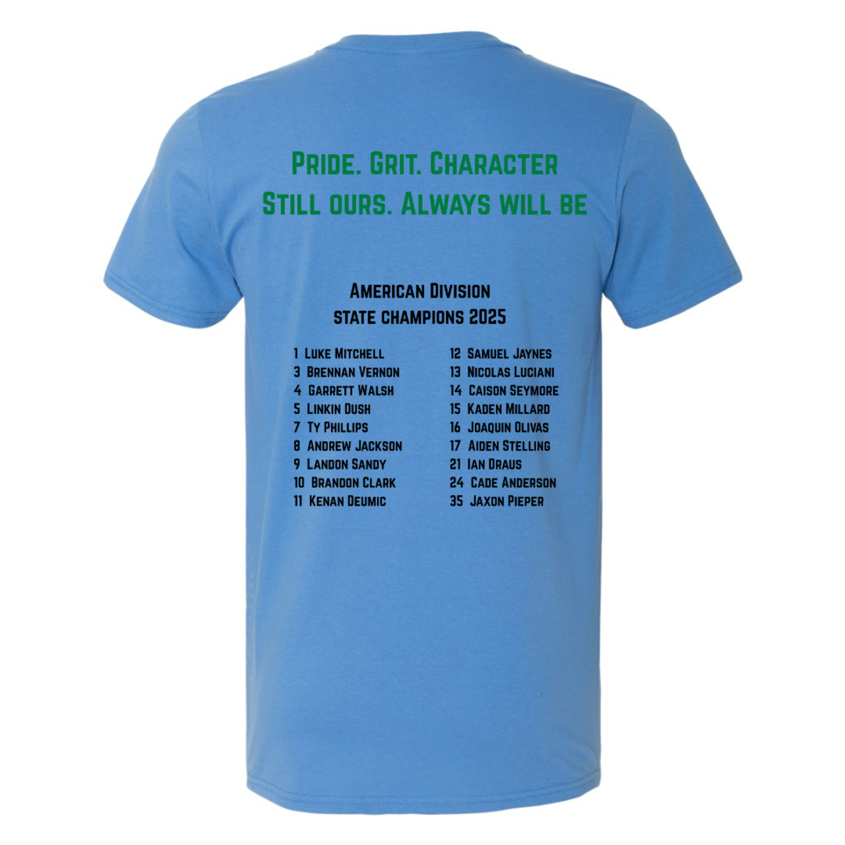 Gildan Softstyle Pinnacle Bank Baseball Rob It Tee