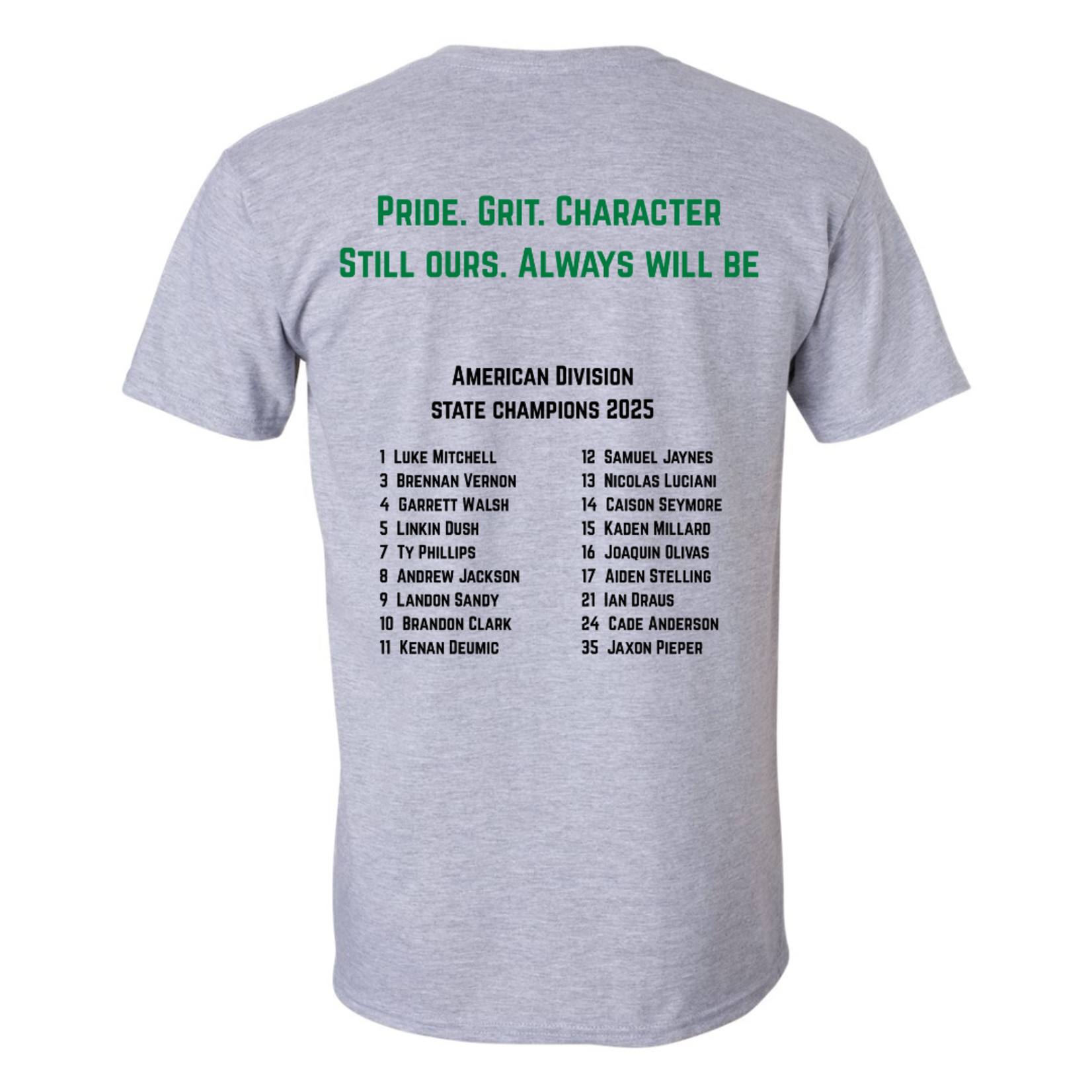 Gildan Softstyle Pinnacle Bank Baseball Rob It Tee