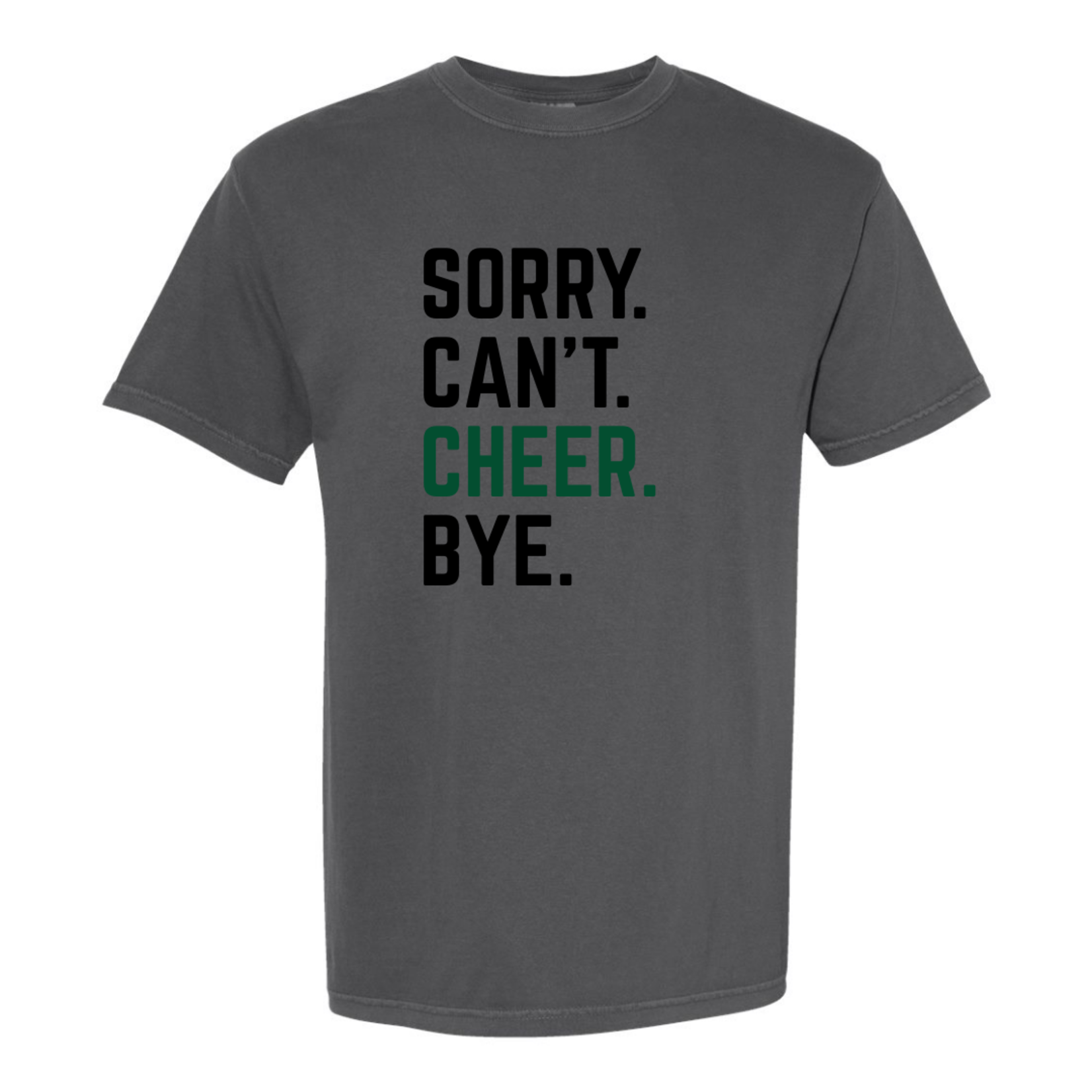 comfort colors Sorry Can't Cheer Bye Tee