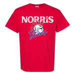 comfort colors Norris Titans Rough Layered Tee
