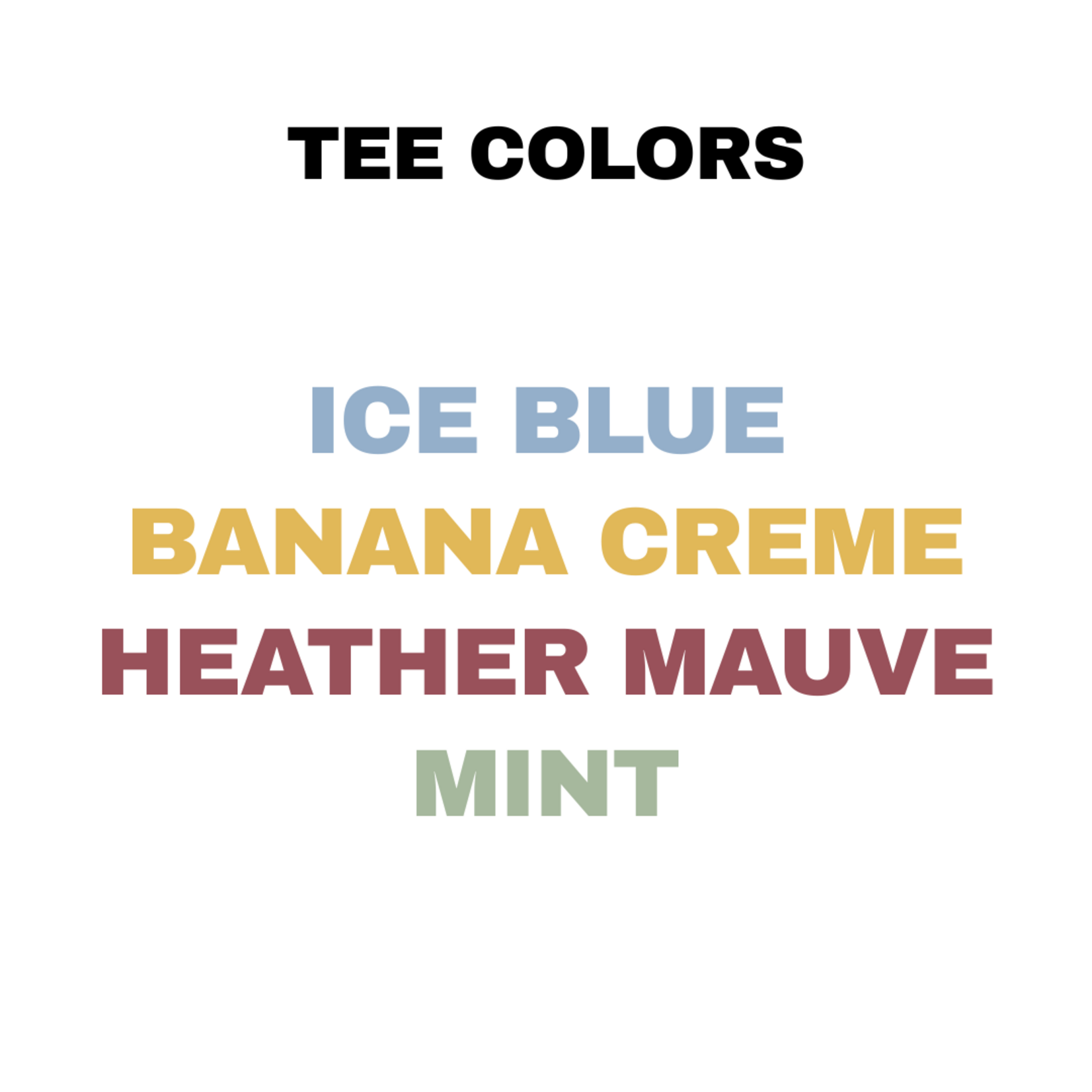 next level Lincoln Pediatric Group Tee