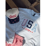 USA Patchwork Emb. Crew