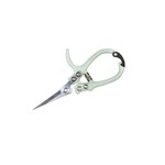 Pruning Shears