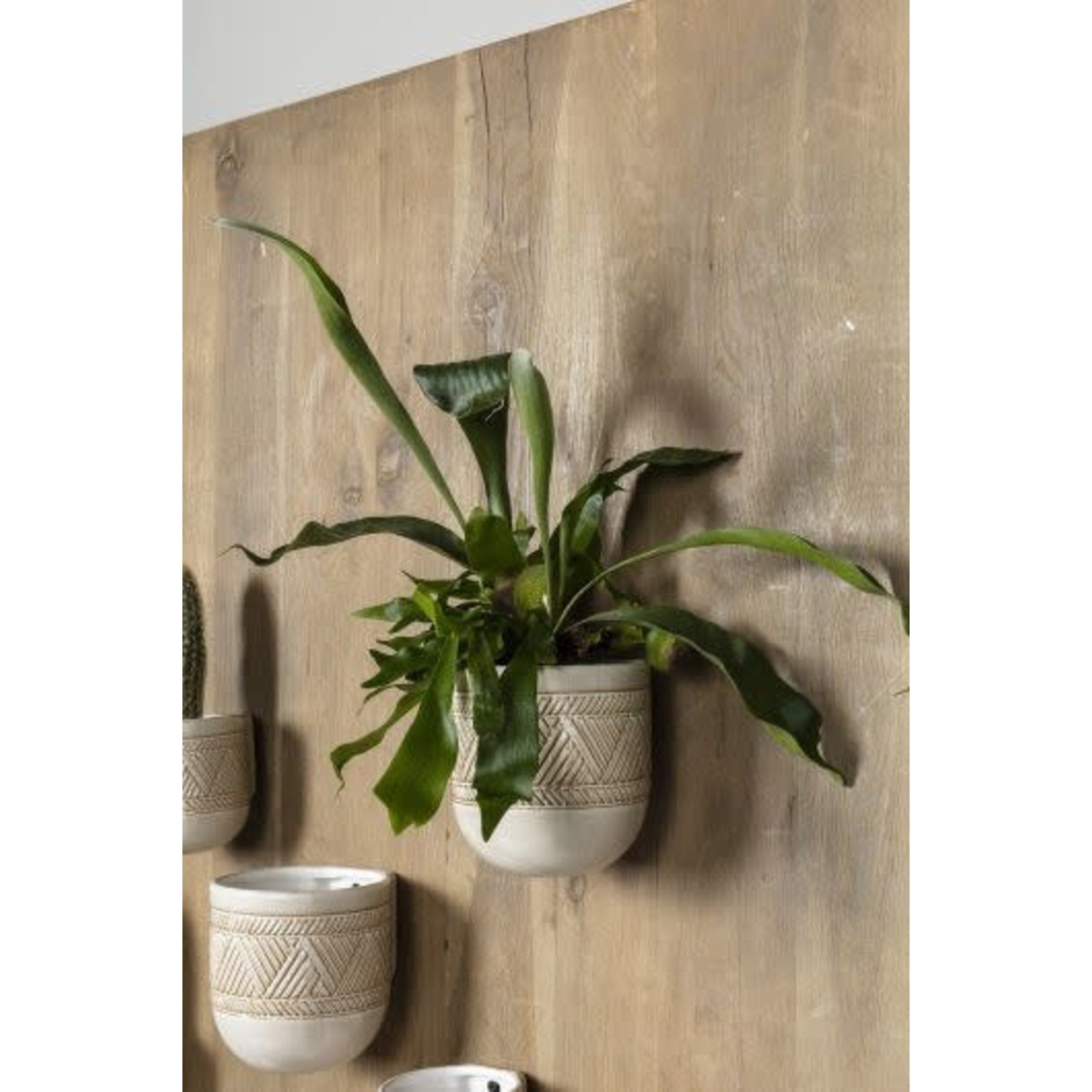 Etched Wall Planter - Tribe