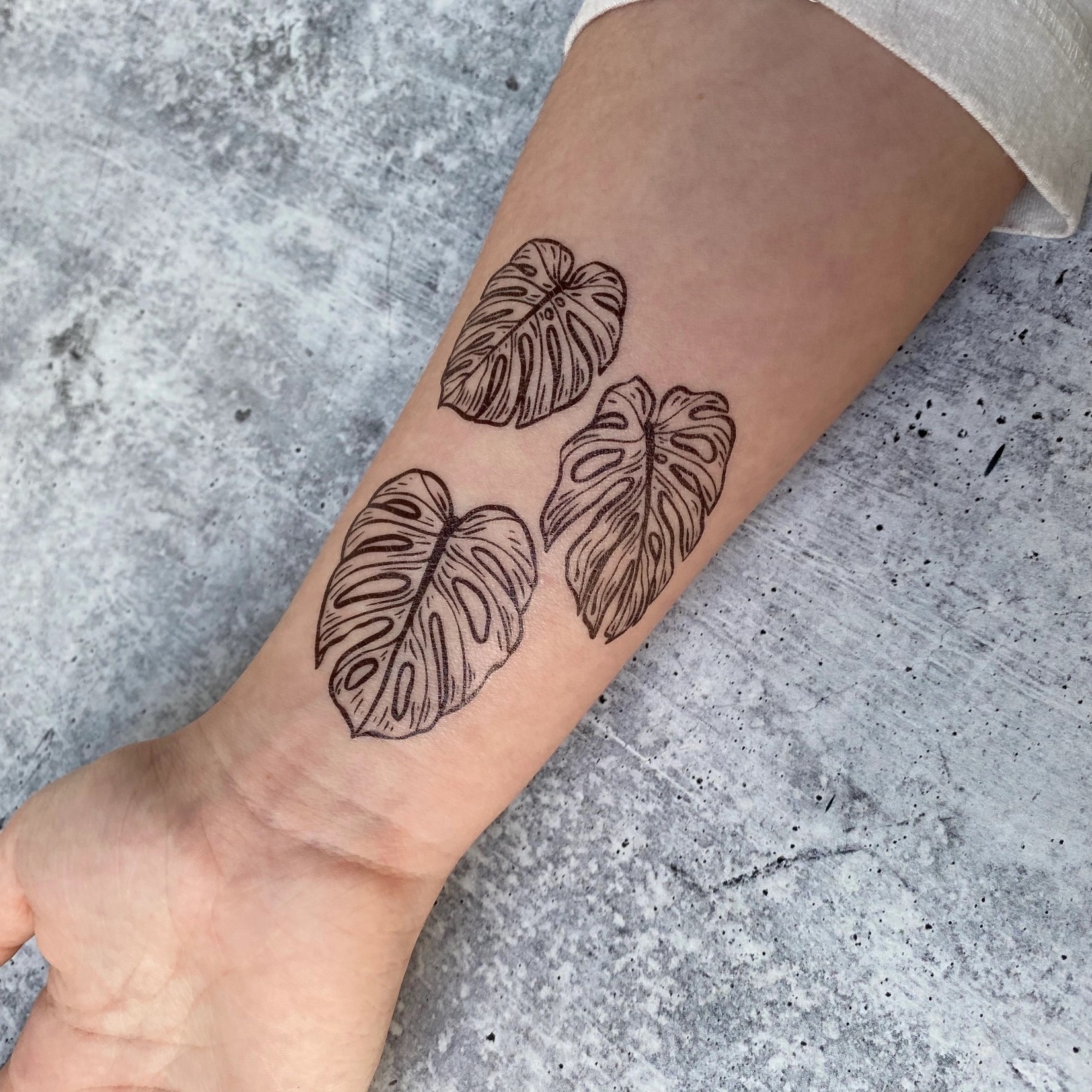 Nature Tats Monstera Leaves Temporary Tattoo