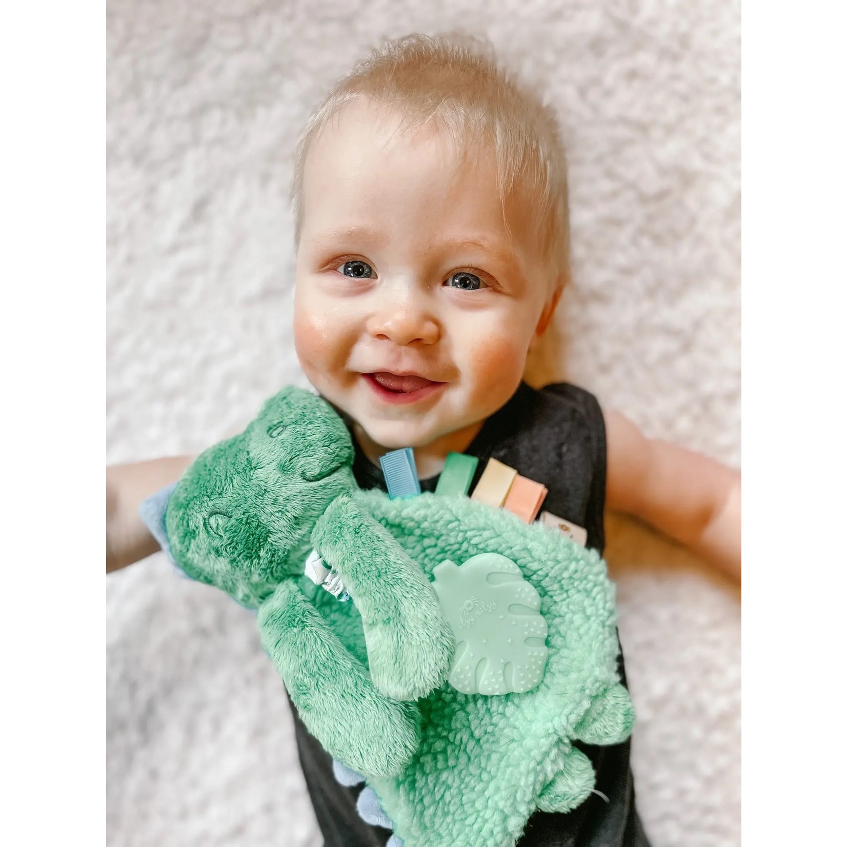 Lovey Green Dino with Silicone Teether