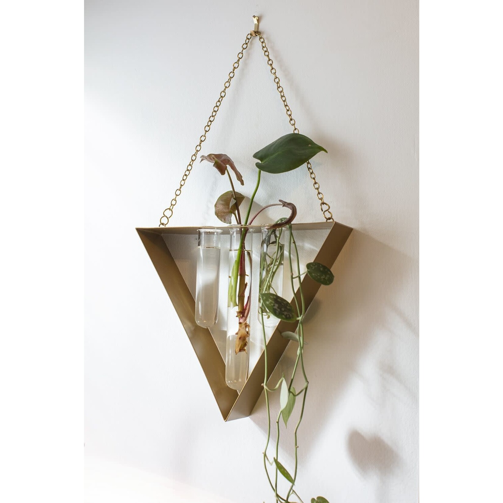 Tawny Wall Hanging Propagation