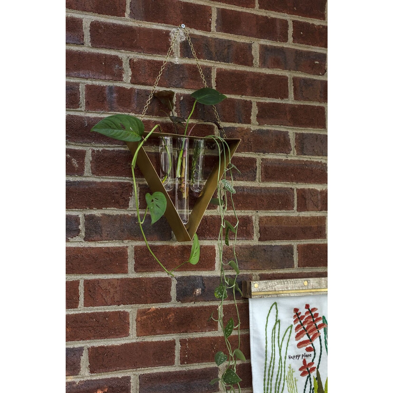 Tawny Wall Hanging Propagation