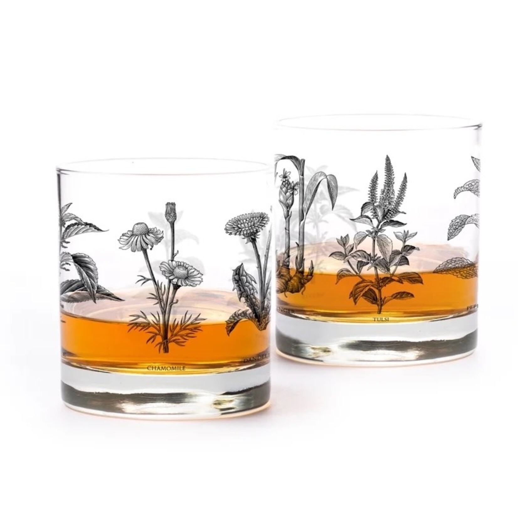 Black Lantern Botanical Herbs Whiskey Glasses - 2 Set