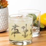 Black Lantern Botanical Herbs Whiskey Glasses - 2 Set