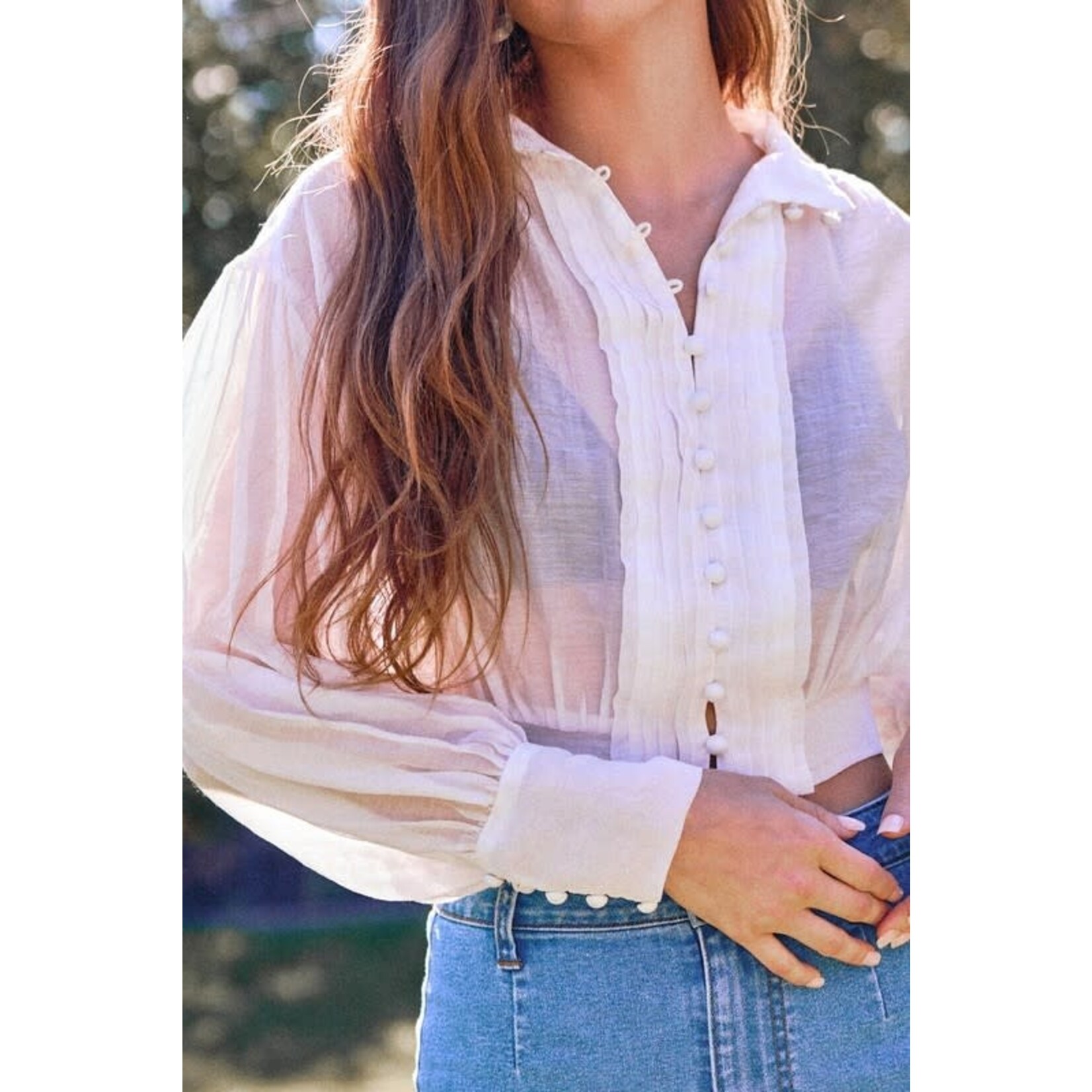 LaLavon Olive Sheer Button Up Balloon Sleeve Top