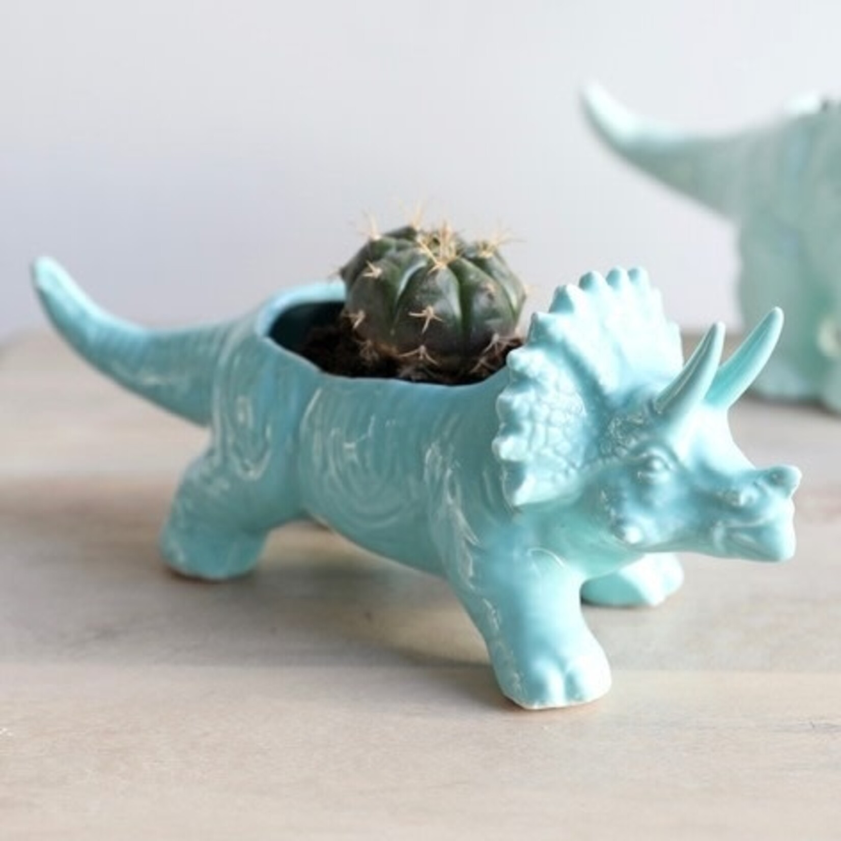 Lisa Angel Triceratops Dinosaur Planter