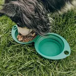 Camp Hound 2-in-1 Travel Dog Bowl