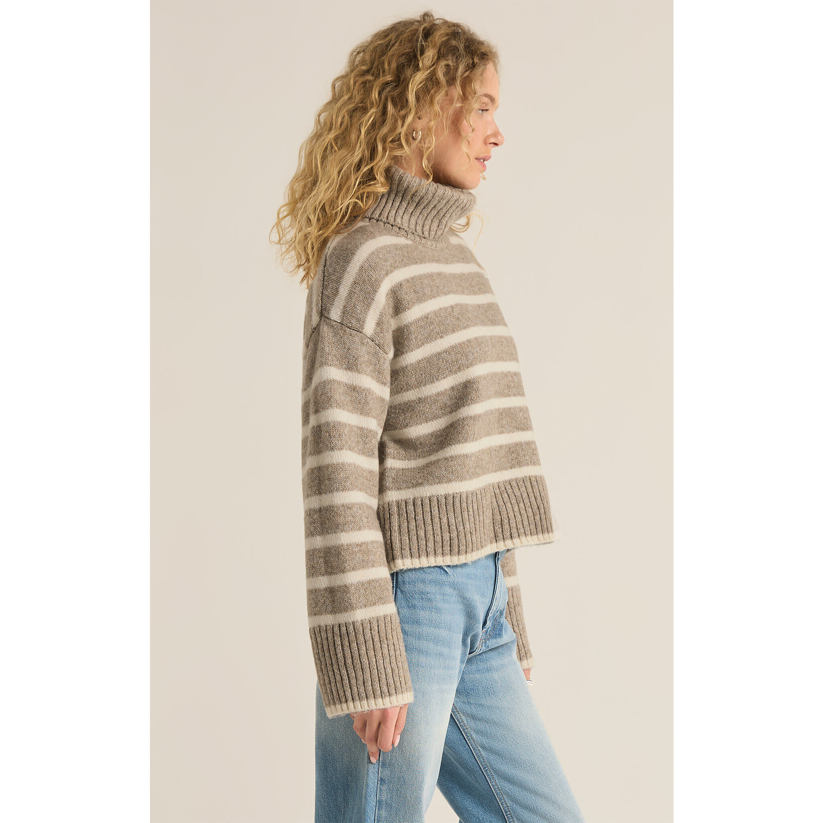 Z Supply Josephine Stripe Turtleneck Sweater