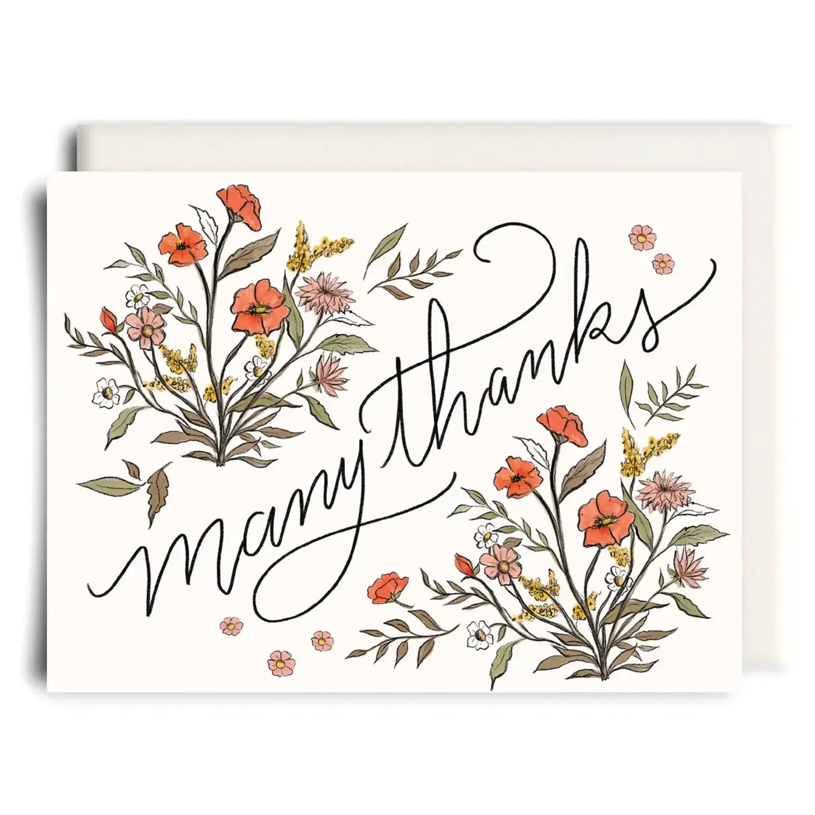 Many Thanks | Thank You - Greeting Card