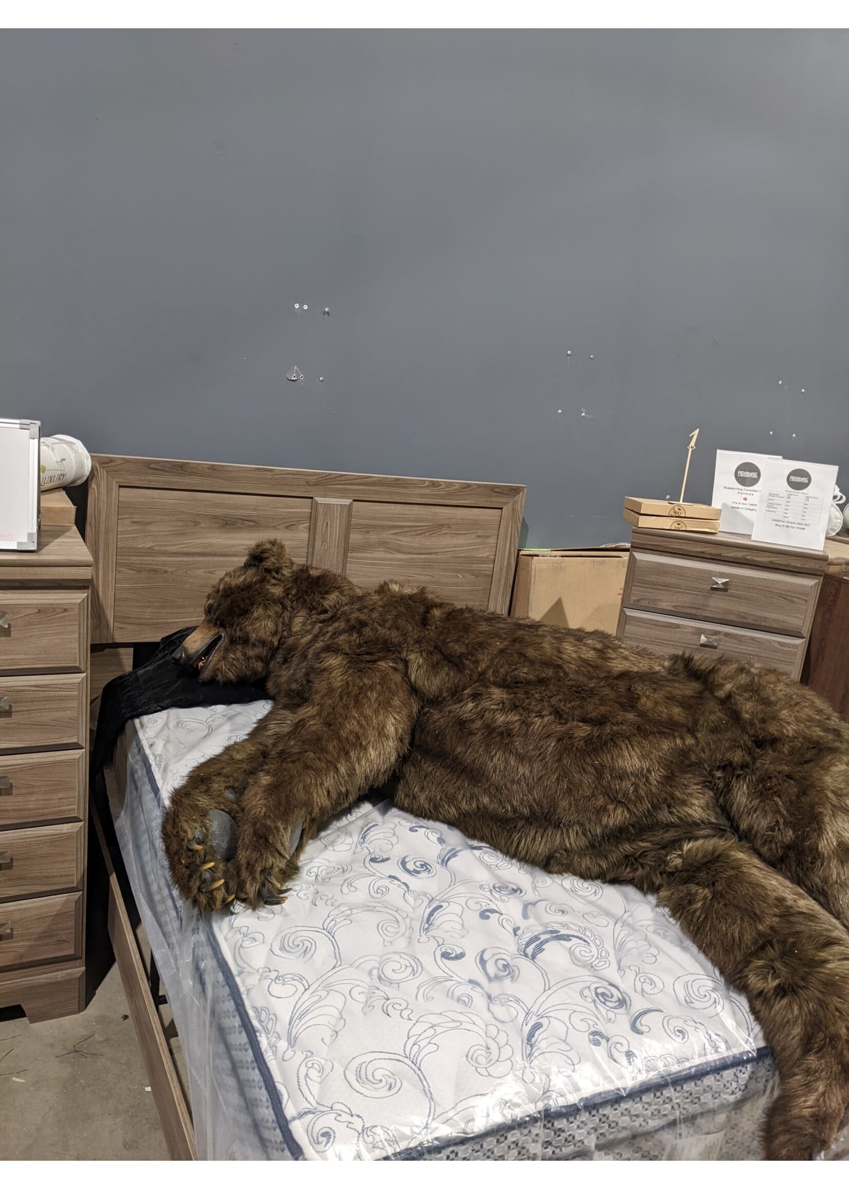 10 Inch RV Queen Euro Top Mattress