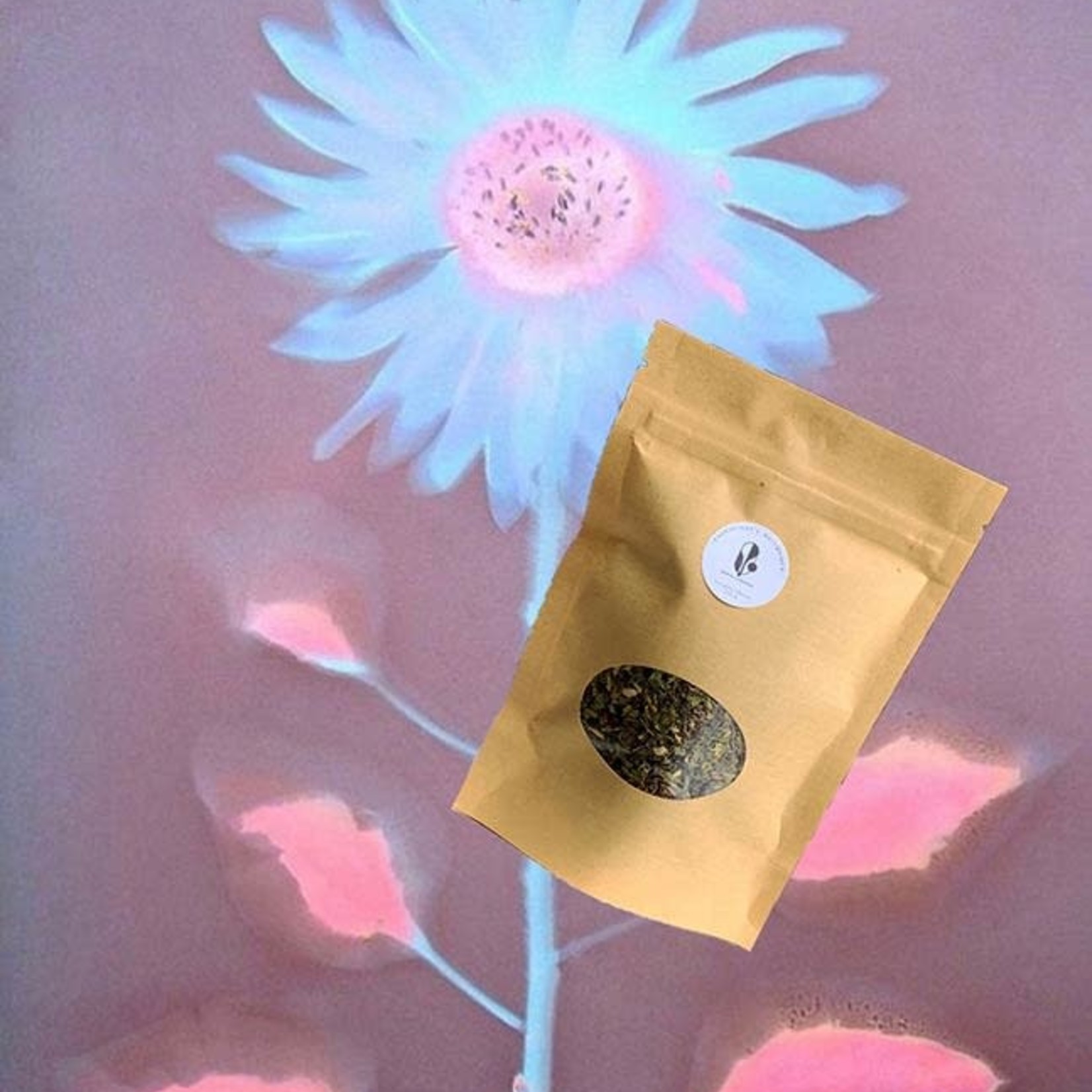 Earth Commons Vitality Boost Immunity Tea by Earth Commons