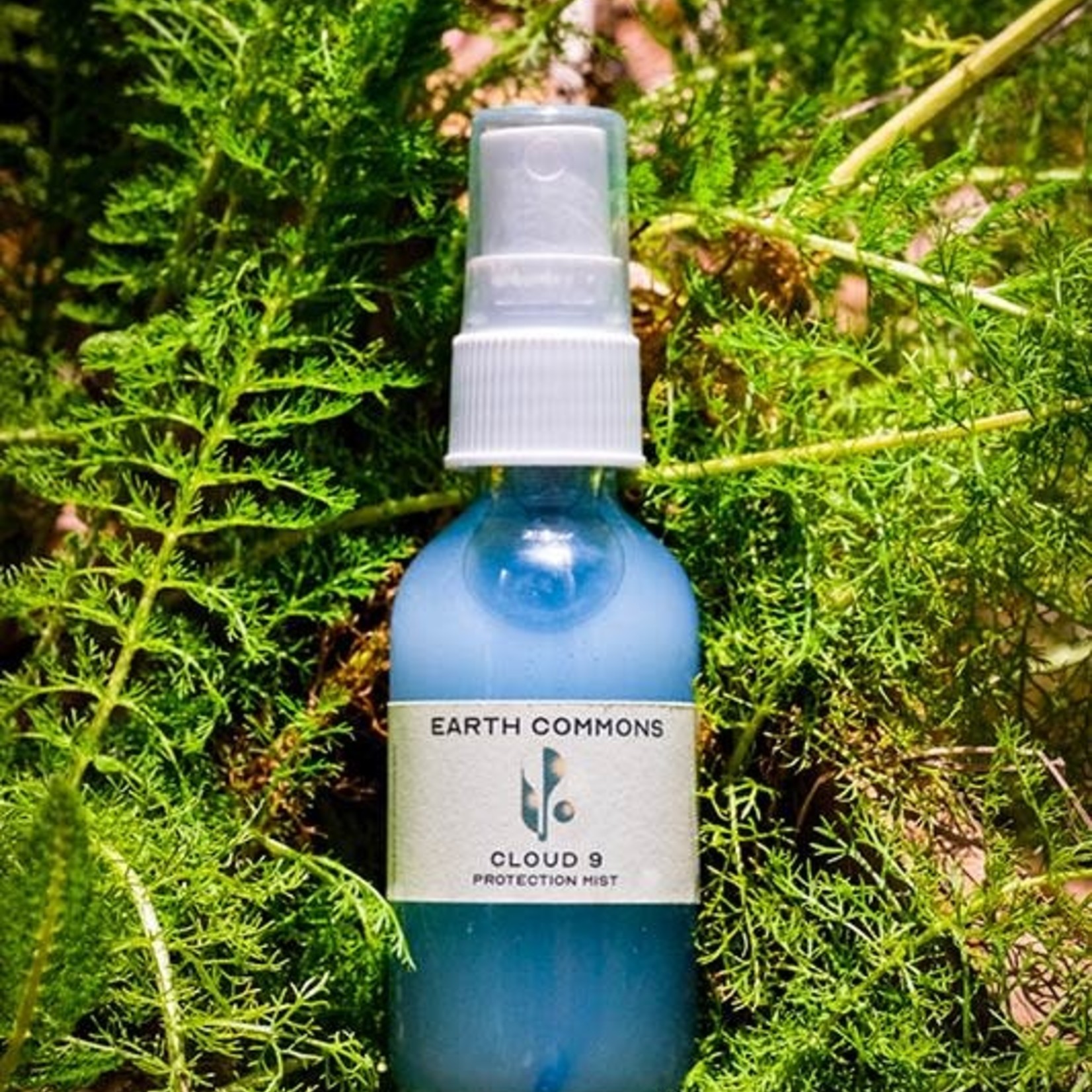 Earth Commons Cloud Nine Protection Mist by Earth Commons