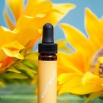 Earth Commons Sunflower Flower Essence by Earth Commons