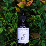 Wild Hearth & Home Calming Digestive Bitters by Wild Hearth & Home