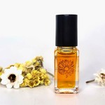 Terra Stoma Bright Eyes Under Eye Elixir by Terra Stoma