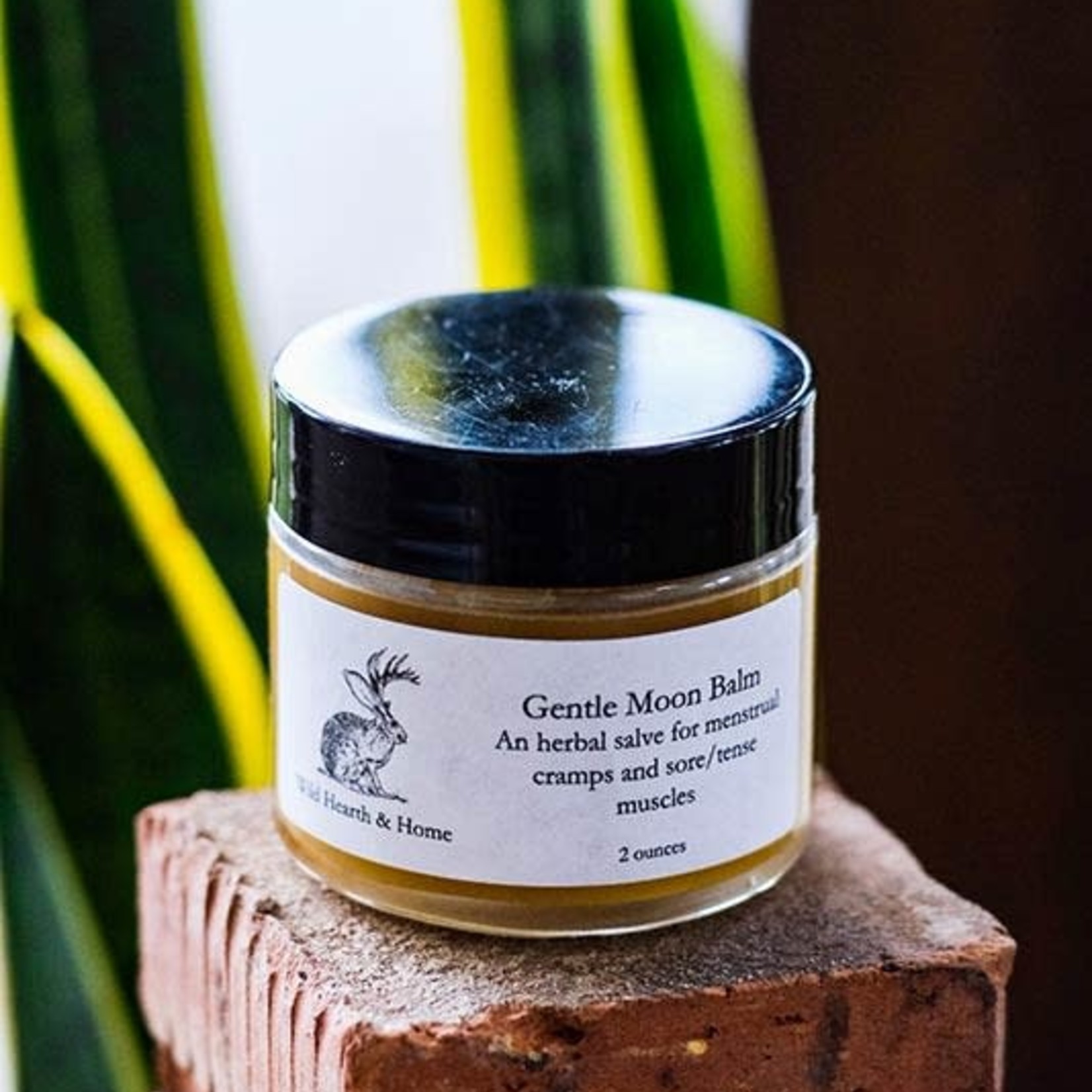 Wild Hearth & Home Gentle Moon Balm by Wild Hearth & Home