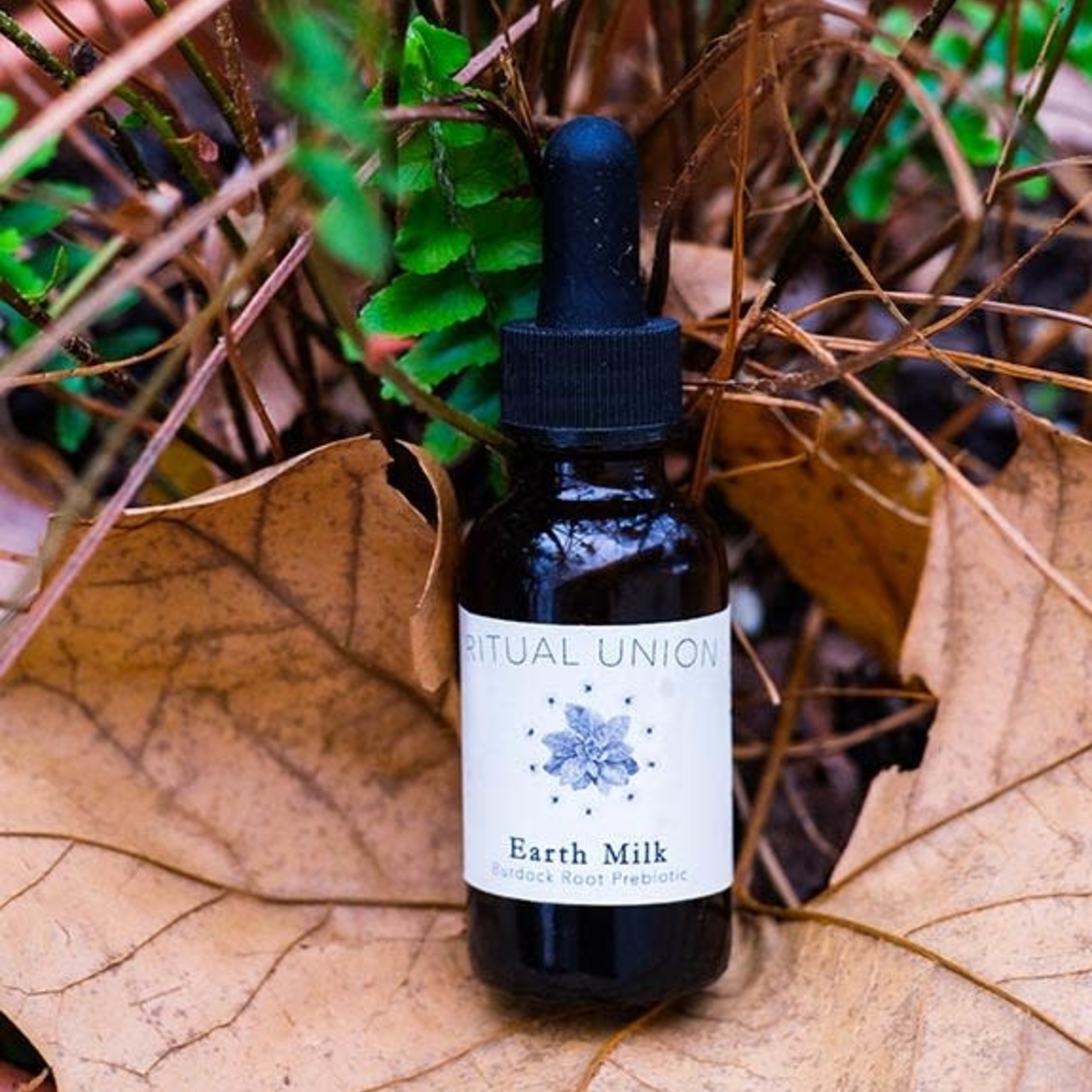 Ritual Union Earth Milk Prebiotic by Ritual Union