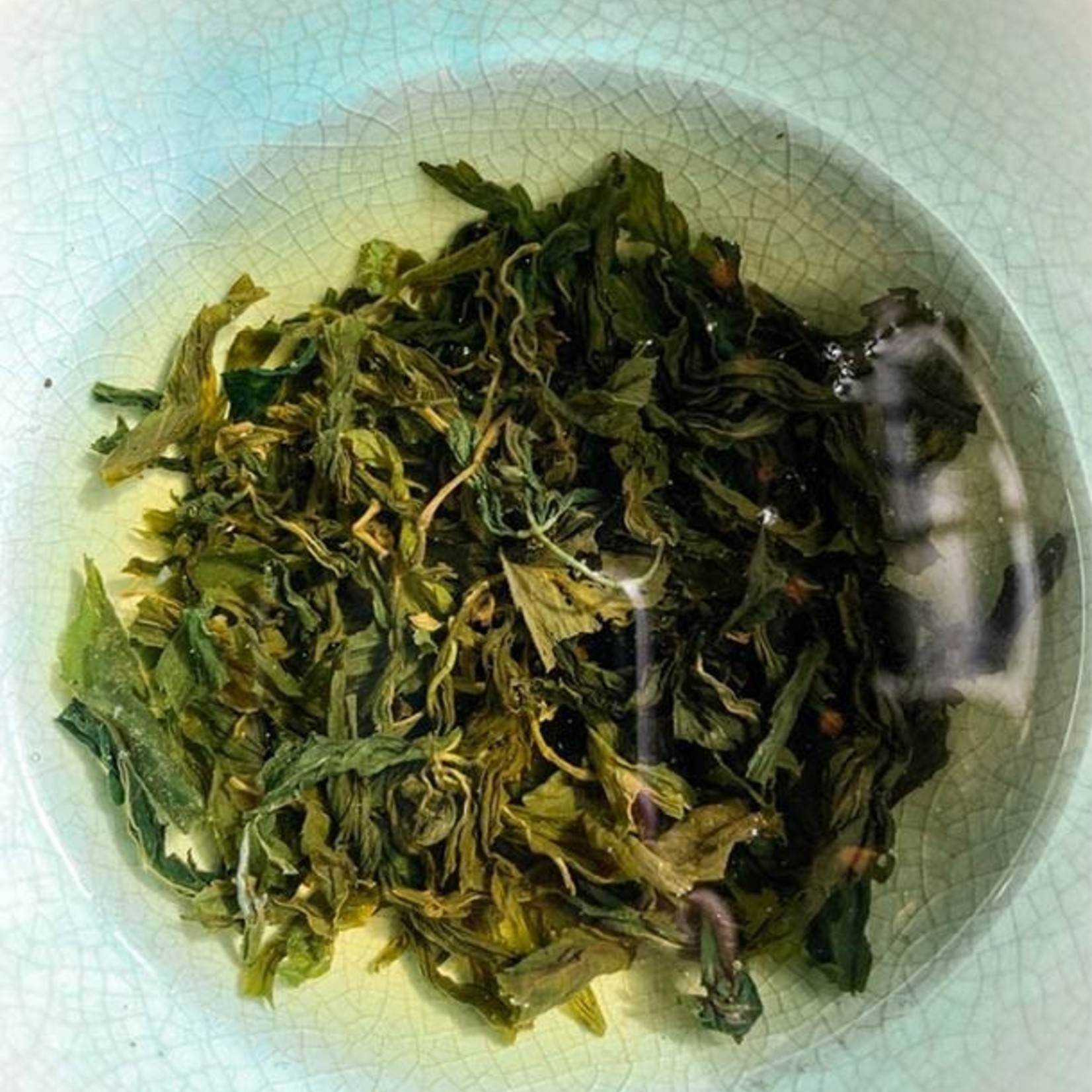 Anima Mundi GYNOSTEMMA | Miracle Grass - 2 oz - Anima Mundi