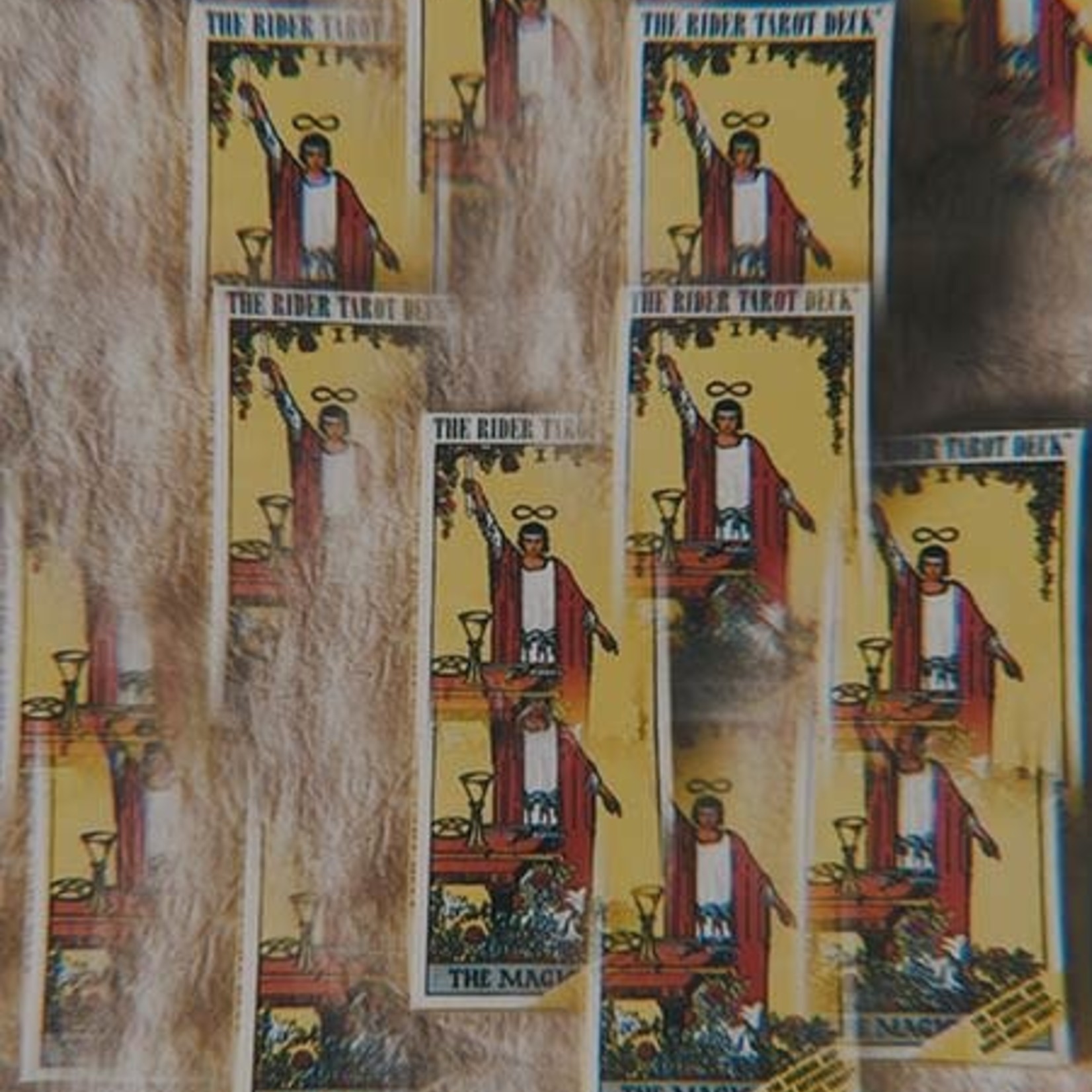 Earth Commons Rider-Waite Tarot Deck - English
