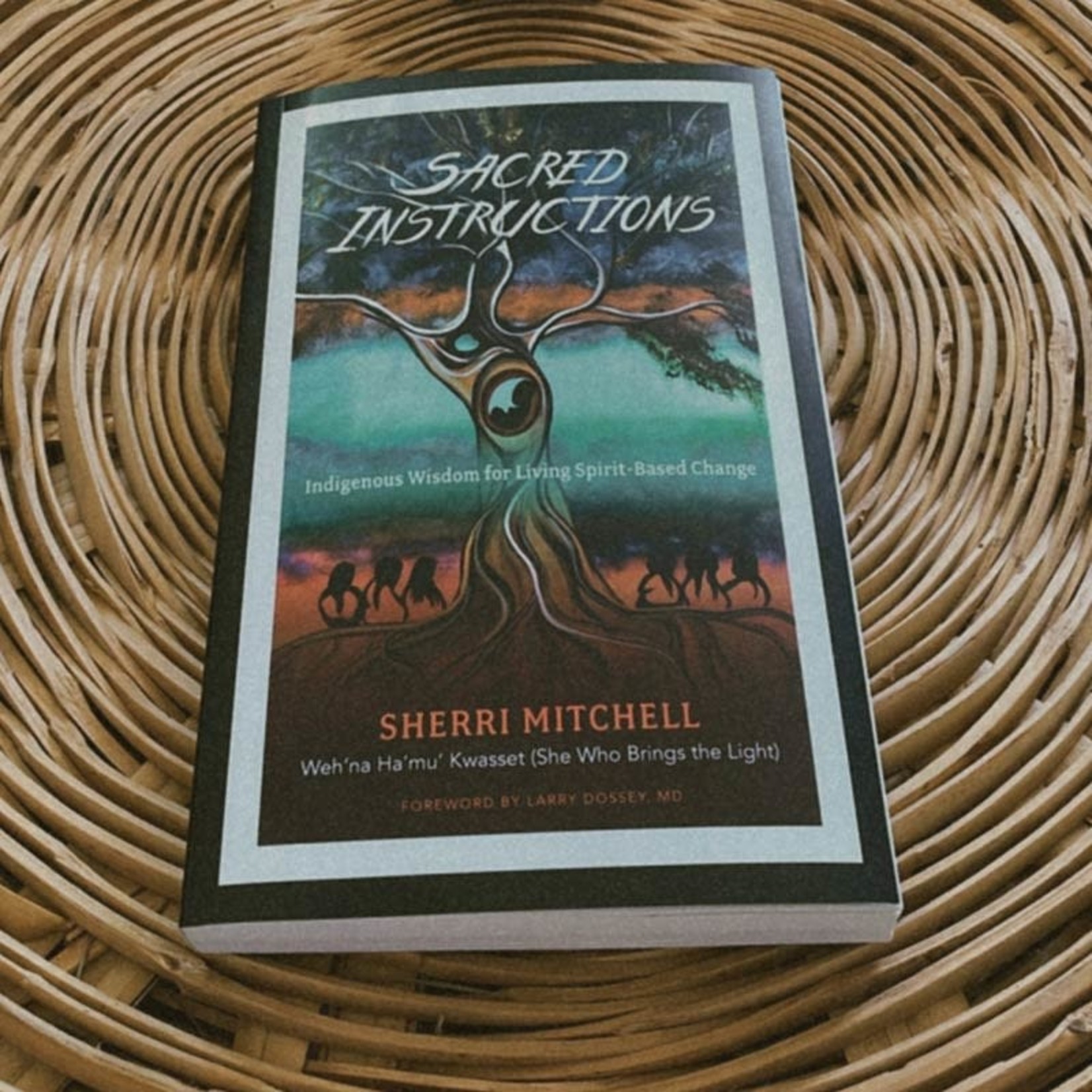 Penguin Books Sacred Instructions by Sherri Mitchell