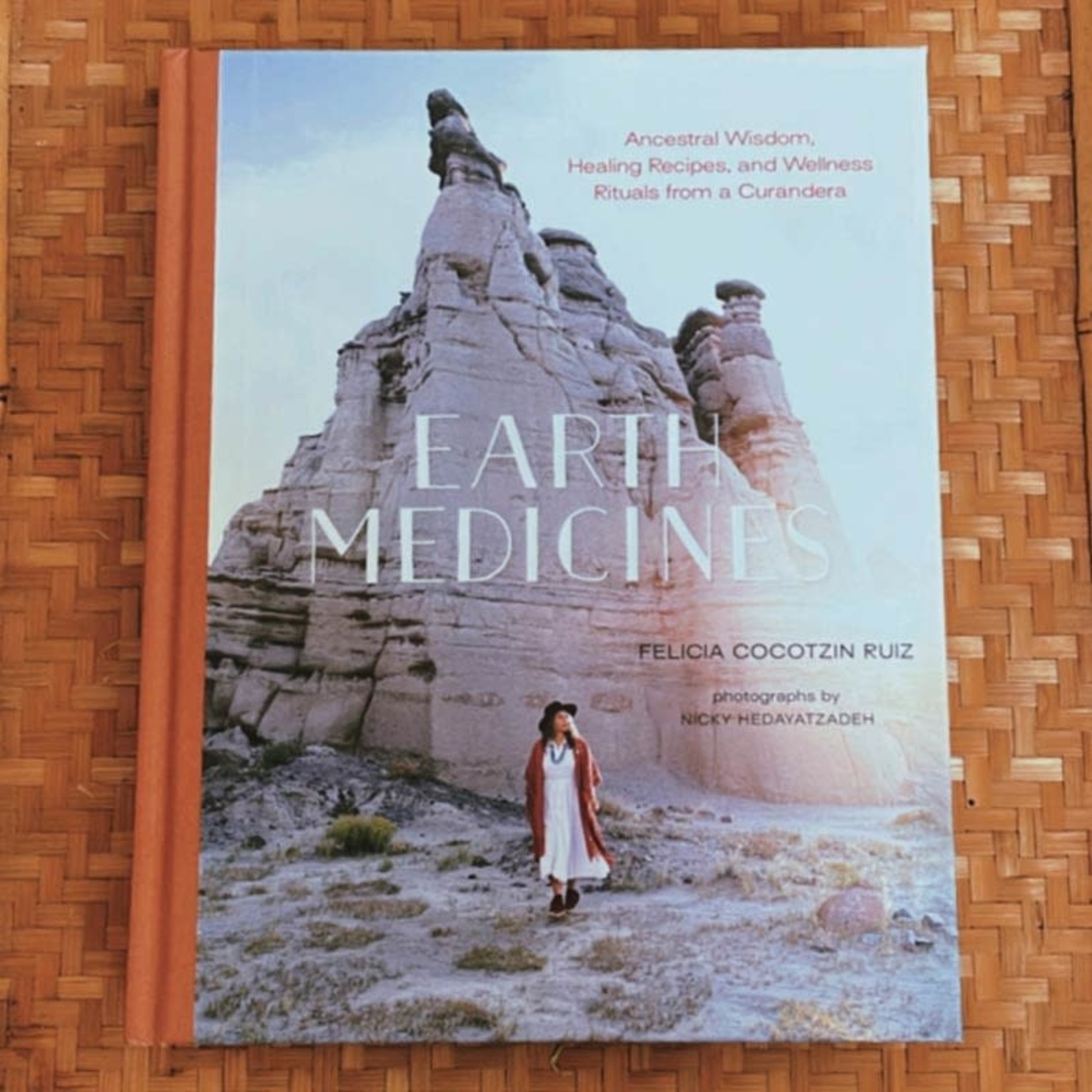 Penguin Books Earth Medicines by Felicia Cocotzin Ruiz