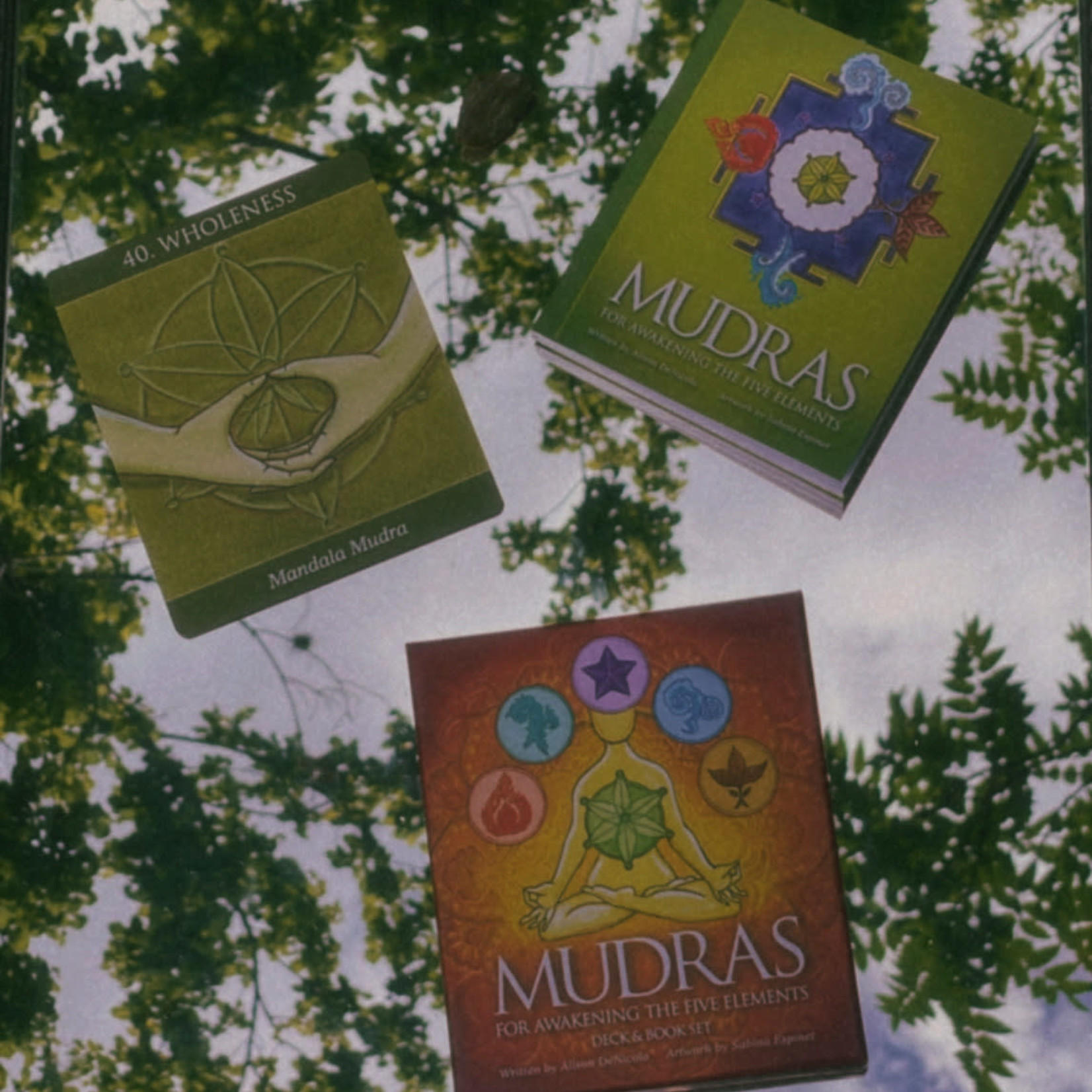 Earth Commons Mudras for Awakening the Energy Body