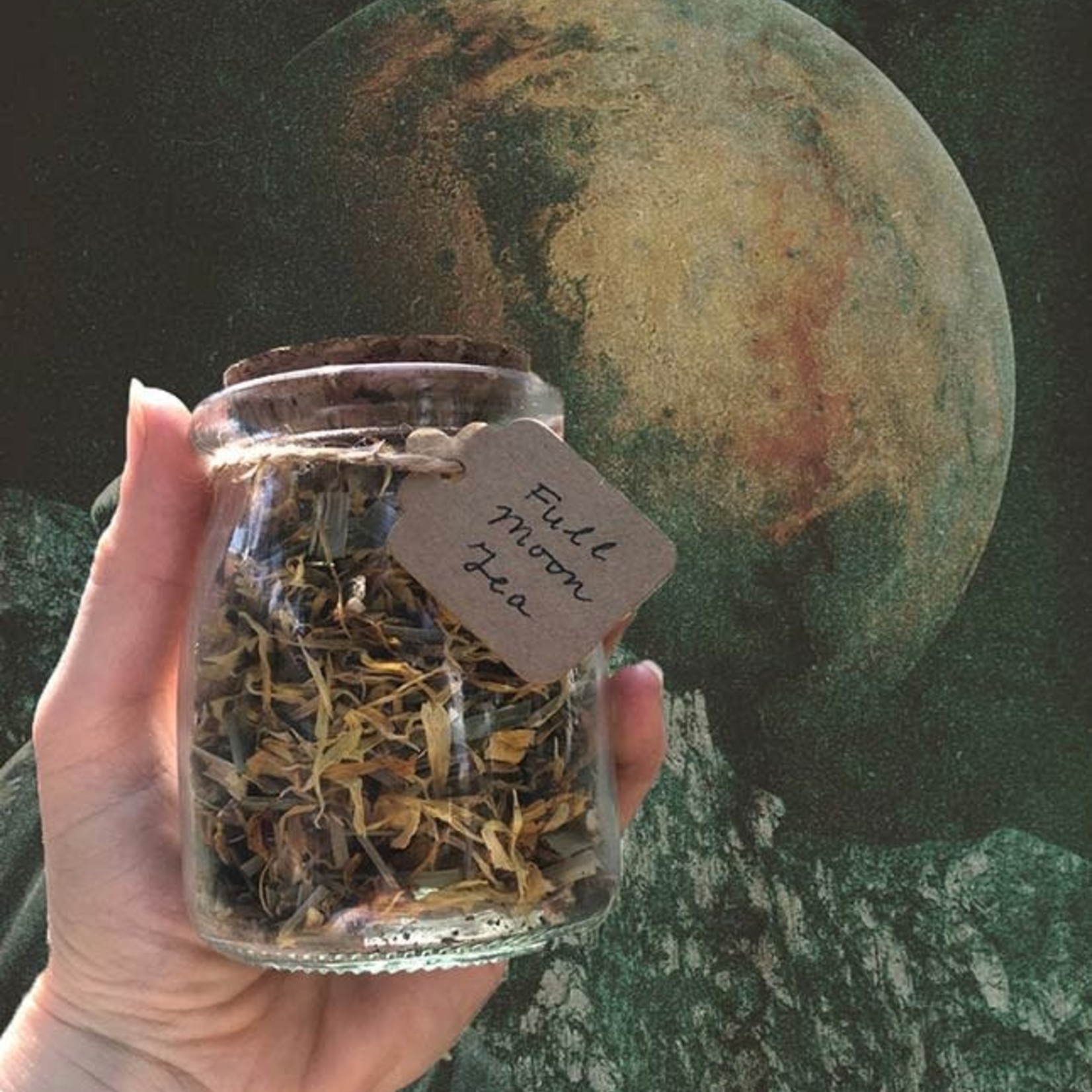 Earth Commons Full Moon Tea by Earth Commons