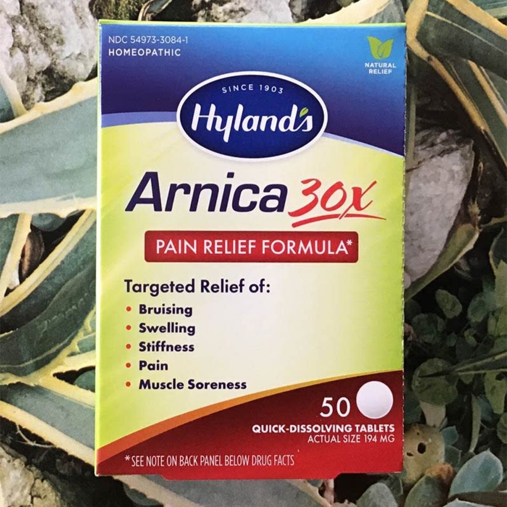 Earth Commons Arnica Tabs by Hyland's