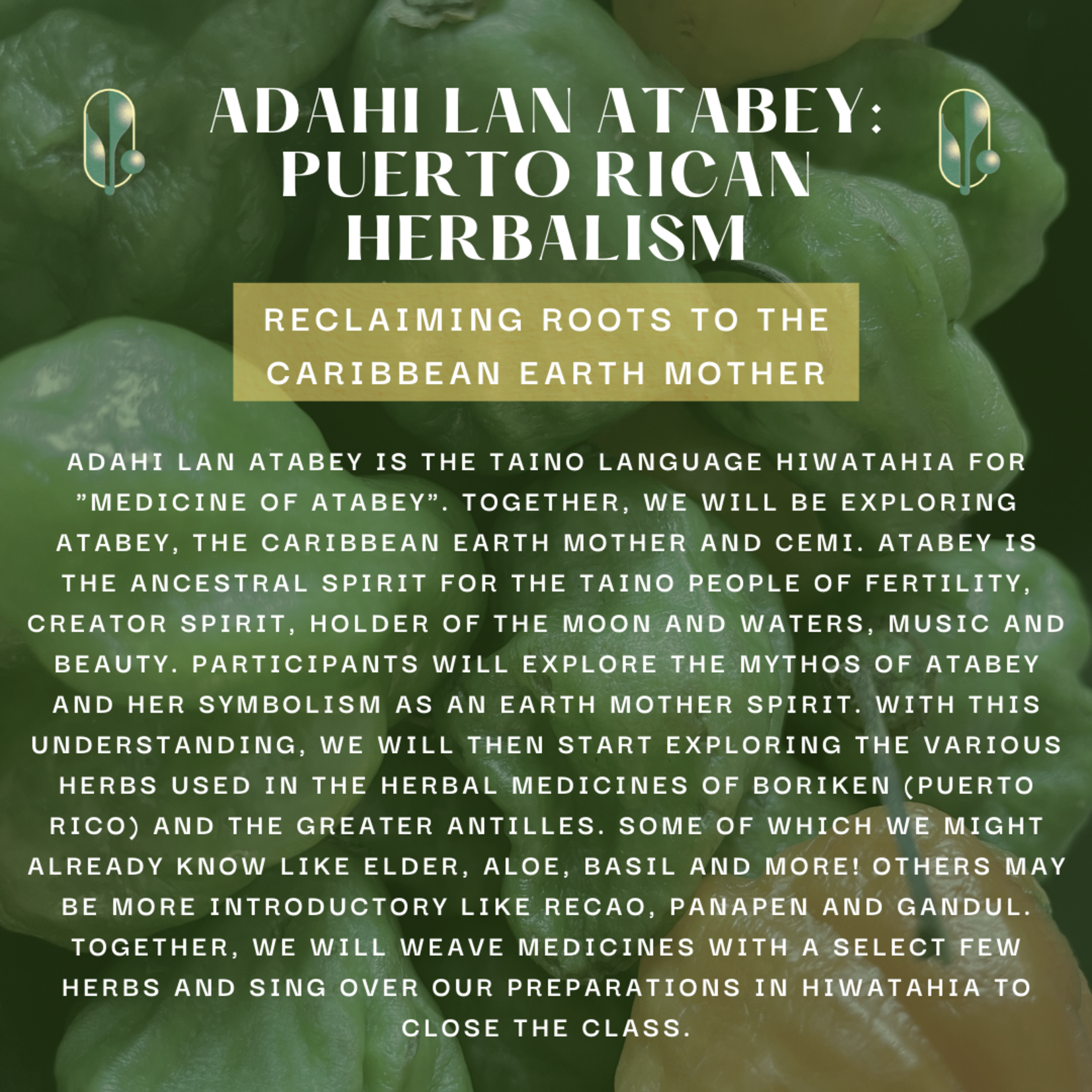 Adahi Lan Atabey: Puerto Rican Herbalism  - CLASS with Maggie Rivera