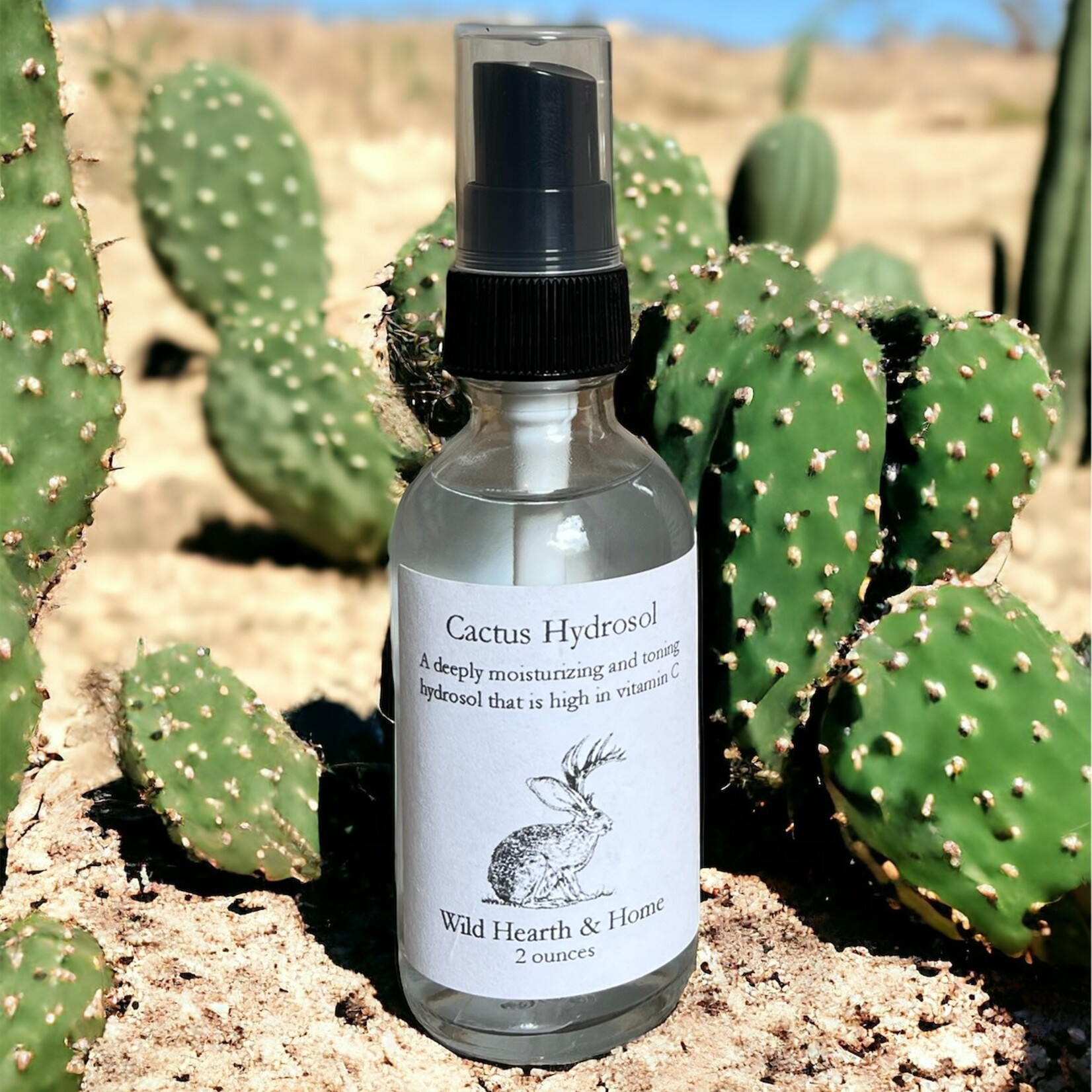 Wild Hearth & Home Prickly Pear Cactus Hydrosol by Wild Hearth & Home