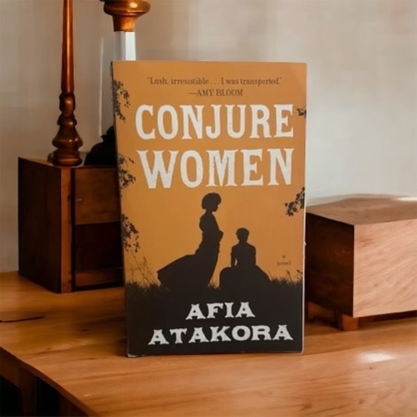 Penguin Books Conjure Women a novel By Afia Atakora