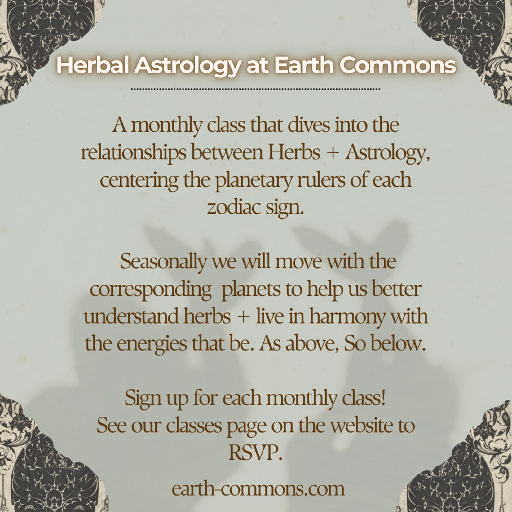 Earth Commons Herbal Astrology 101 - Monthly Zodiac Class
