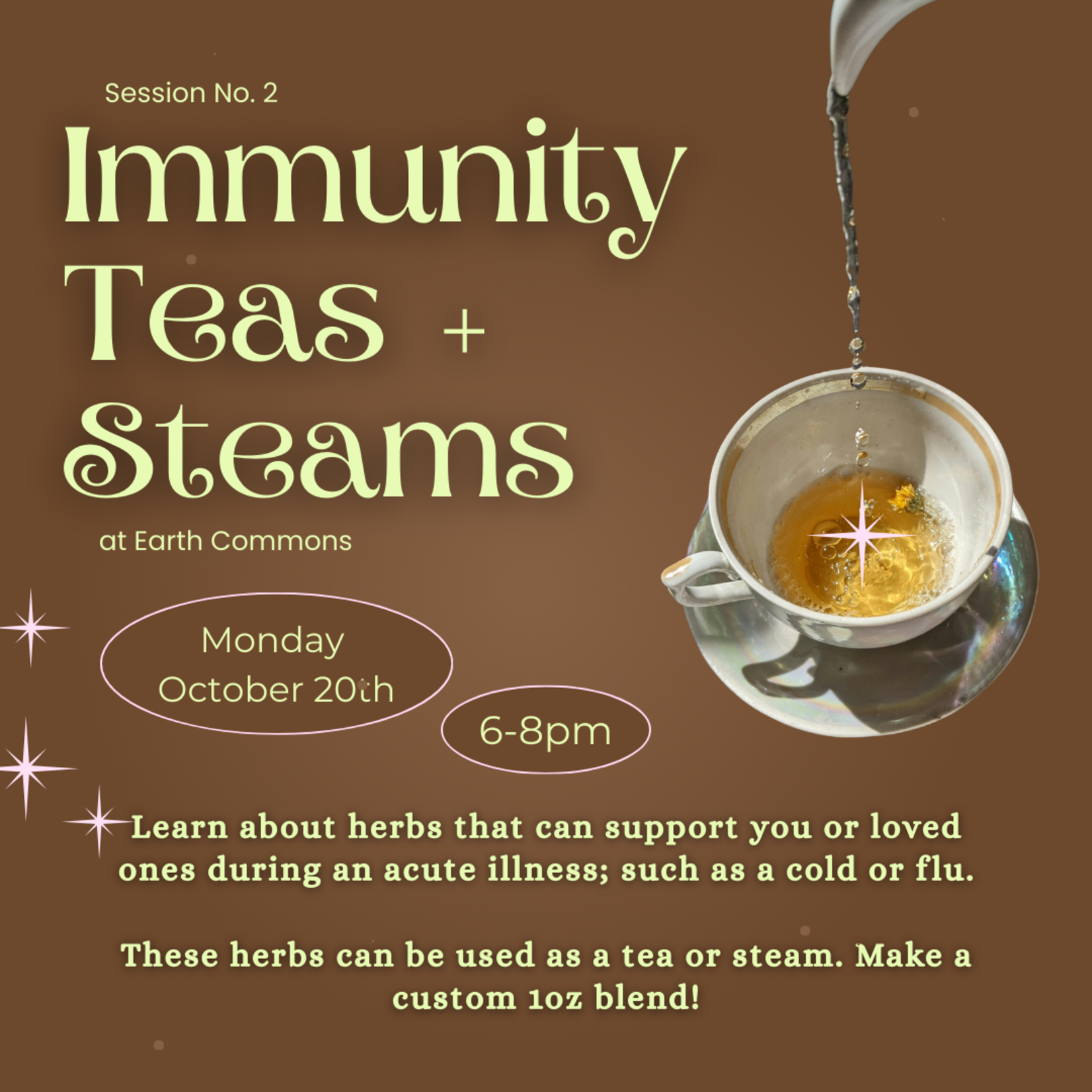 Earth Commons Immunity Infused Oils + Salves: Class three of Immunity Series