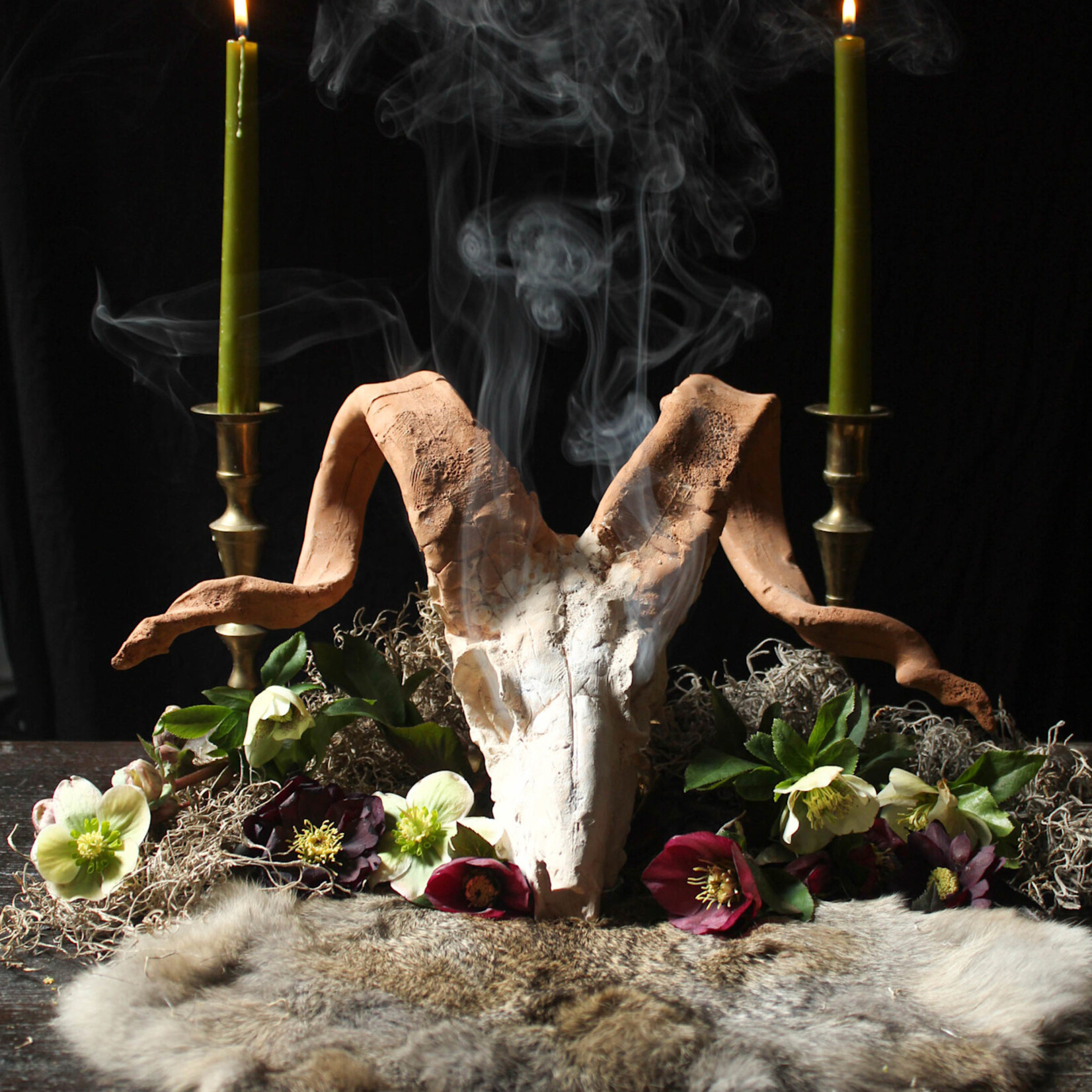 Earth Commons Witches & Their Poisons : A History of Flying Ointments - CLASS - Sunday March 1st 11 am