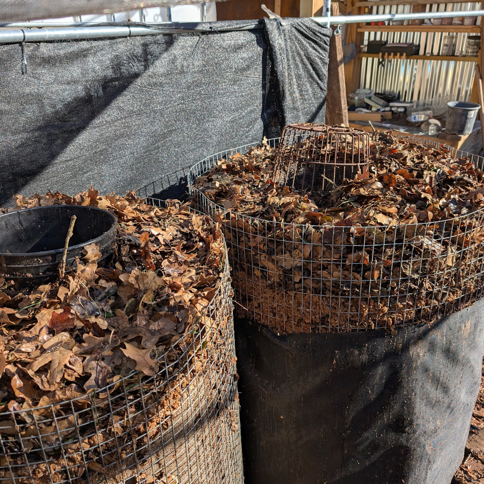 Earth Commons Healing The Land: soil health strategies with Austin Davenport - Sunday April 5th