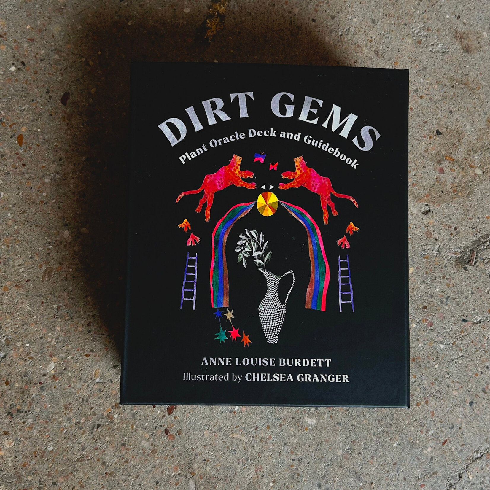 Hachette book group Dirt Gems Plant Oracle Deck and Guidebook