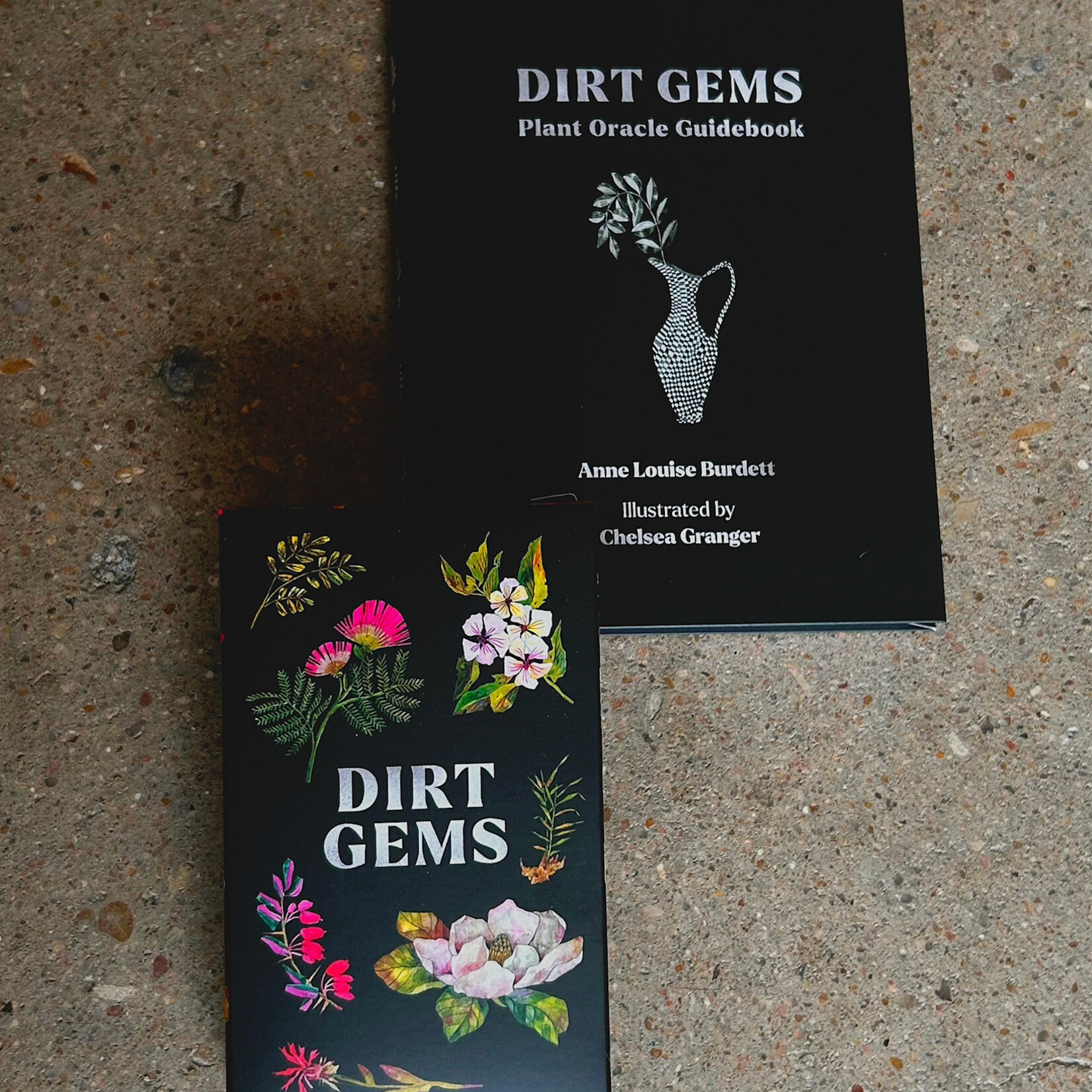 Hachette book group Dirt Gems Plant Oracle Deck and Guidebook