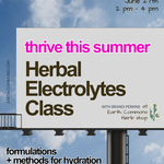 Earth Commons Herbal Electrolyte Formulations Class June 27th